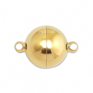 Benodigdheden van Stainless steel Roestvrij staal (RVS) magneetsluiting ball 16mm Gold