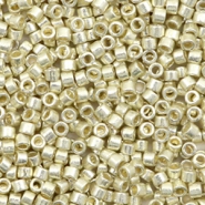 Miyuki kralen 11/0 delica's Duracoat galvanized silver