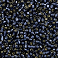 Miyuki kralen 11/0 delica's Duracoat silverlined dyed montana DB-2192