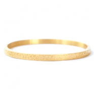 Armbanden van Stainless steel Roestvrij staal (RVS) leopard print Goud