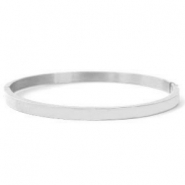 Armbanden van Stainless Steel Roestvrij staal (RVS) Zilver
