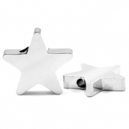 Kralen van Stainless steel Roestvrij staal (RVS) ster Zilver