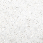 Miyuki kralen 11/0 delica's Matte crystal DB-741