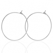 Oorbellen van Stainless steel Roestvrij staal (RVS) 25mm Zilver