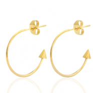 Oorbellen van Stainless steel Roestvrij staal (RVS) creolen Goud