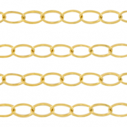 Benodigdheden van Stainless steel Roestvrij staal (RVS) jasseron ankerketting Goud