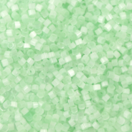 Miyuki kralen 11/0 delica's Silk satin mint green DB-828