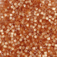 Miyuki kralen 11/0 delica's Silk satin dyed topaz DB-1804