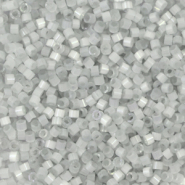 Miyuki kralen 11/0 delica's Silk satin dyed shadow gray DB-1816