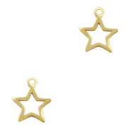 Bedels van Stainless steel Roestvrij staal (RVS) star Goud