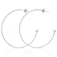 Oorbellen van Stainless steel Roestvrij staal (RVS) oorstekers creolen Zilver