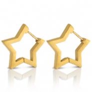 Oorbellen van Stainless steel Roestvrij staal (RVS) star Goud