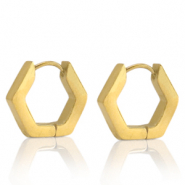 Oorbellen van Stainless steel Roestvrij staal (RVS) hexagon Goud