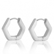 Oorbellen van Stainless steel Roestvrij staal (RVS) hexagon Zilver