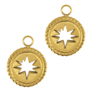 Bedels van Stainless steel Roestvrij staal (RVS) star Goud