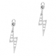 Bedels van Stainless steel Roestvrij staal (RVS) thunder Silver