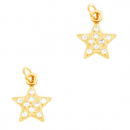 Bedels van Stainless steel Roestvrij staal (RVS) star Gold