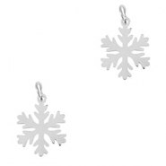 Bedels van Stainless steel Roestvrij staal (RVS) snowflake Silver