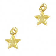 Brass TQ metaal bedels star Gold