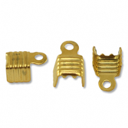 Benodigdheden van Stainless steel Roestvrij staal (RVS) veterklemmen Gold