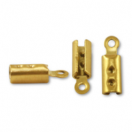 Benodigdheden van Stainless steel Roestvrij staal (RVS) veterklemmen Gold