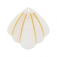 Hangers van resin shell Off white