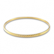 Armbanden van Stainless Steel Roestvrij staal (RVS) Gold