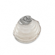 Schelp hanger special Mussel Creamy white-silver