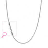 Kettingen van Stainless steel Roestvrij staal (RVS) Silver