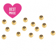 Benodigdheden van Stainless steel Roestvrij staal (RVS) knijpkralen 2mm Goud