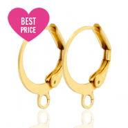 Benodigdheden van Stainless steel Roestvrij staal (RVS) sluitbare oorhanger met oog Goud