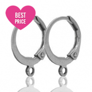 Benodigdheden van Stainless steel Roestvrij staal (RVS) sluitbare oorhanger met oog Silver