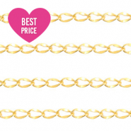 Benodigdheden van Stainless steel Roestvrij staal (RVS) jasseron Goud