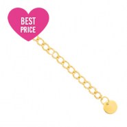 Benodigdheden van Stainless steel Roestvrij staal (RVS) verlengketting coin 6mm Goud