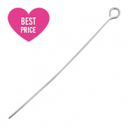 Benodigdheden van Stainless steel Roestvrij staal (RVS) kettelstift 50mm Zilver