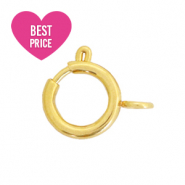 Benodigdheden van Stainless steel Roestvrij staal (RVS) slotje 7x9mm Goud