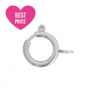 Benodigdheden van Stainless steel Roestvrij staal (RVS) slotje 6x8mm Zilver