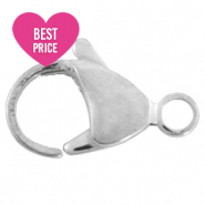 Benodigdheden van Stainless steel Roestvrij staal (RVS) karabijnslot 15mm Zilver