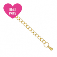 Benodigdheden van Stainless steel Roestvrij staal (RVS) verlengketting drop Goud