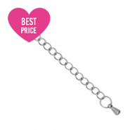 Benodigdheden van Stainless steel Roestvrij staal (RVS) verlengketting drop Zilver