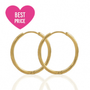 Oorbellen van Stainless steel Roestvrij staal (RVS) creolen 17mm Gold