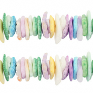 Schelp kralen chips Blue-green-purple