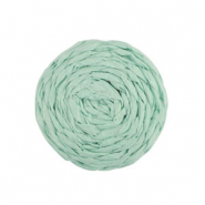 Hangers van raffia 25mm Mint green