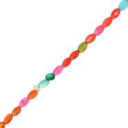 Schelp kralen oval Multicolor