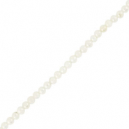 Schelp kralen round White