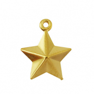 Bedels van Stainless steel Roestvrij staal (RVS) star Gold