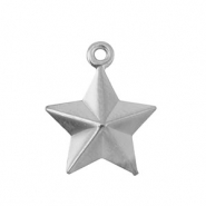 Bedels van Stainless steel Roestvrij staal (RVS) star Silver