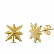 Oorbellen / oorstekers van Stainless steel Roestvrij staal (RVS) star Gold
