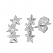 Oorbellen / oorstekers van Stainless steel Roestvrij staal (RVS) star Silver