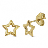 Oorbellen / oorstekers van Stainless steel Roestvrij staal (RVS) star Gold
